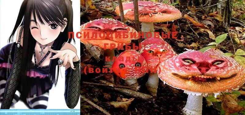 Галлюциногенные грибы MAGIC MUSHROOMS  OMG ССЫЛКА  Абинск 